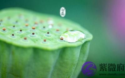 白露是什麽节气?属虎的人白露节气出生命运怎麽样?
