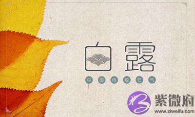 生肖属羊人白露节气出生好不好,白露是阳历的几月?