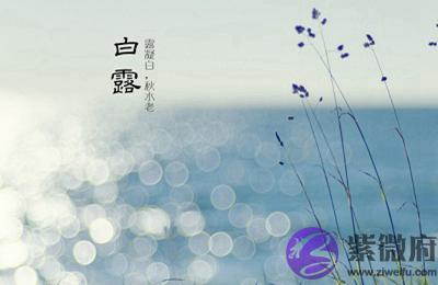 白露节气出生的属鼠人命运好不好？2020白露是吉日吗？