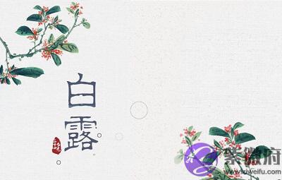 白露节气出生的属鼠人命运好不好？2020白露是吉日吗？