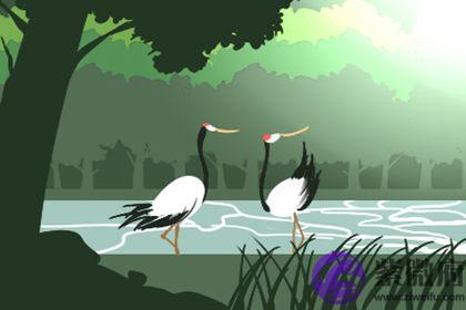 八字算命懒人八字特徵 八字算命懒人八字特徵