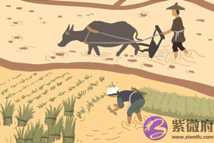 八字有这些特徵的人最癡情