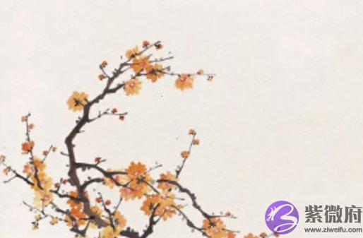 2020年农历十月十五下元节出生好吗,这天日子怎麽样