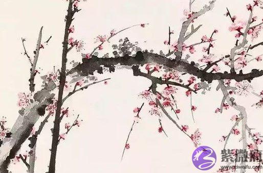 2020年农历十月十二出生好吗,这天日子怎麽样