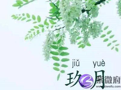 农历九月桃花命吗？农历九月生人命好不好？