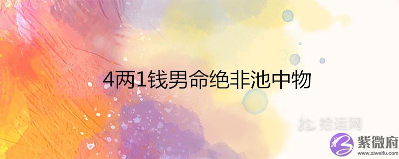 4两1钱男命绝非池中物什麽意思 两1钱男命绝非池中物什麽意思