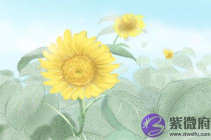 女命身强印旺有什麽好处