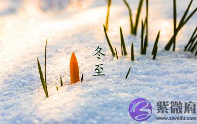 020鼠年冬至节气后一天十一月初八可以求嗣吗？"