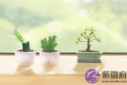八字中神煞的意思