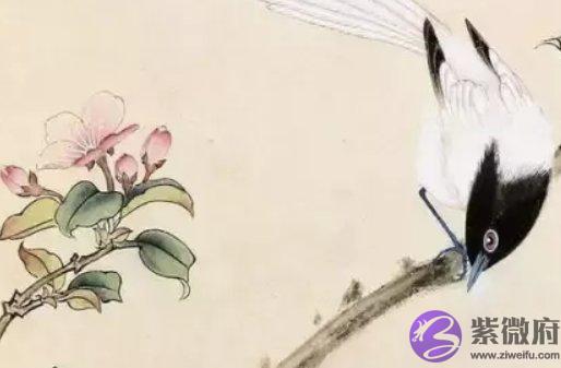 2000年出生的人是什麽命，魅力十足，富贵之命