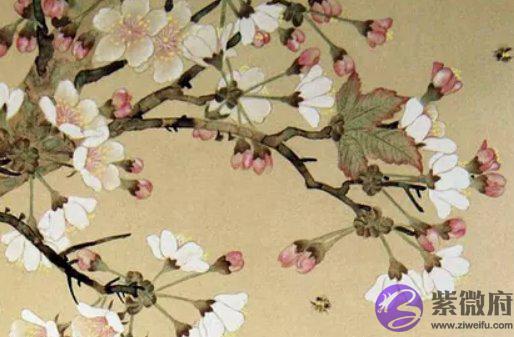  2003年出生的人是什麽命，天赋异禀，才华横溢