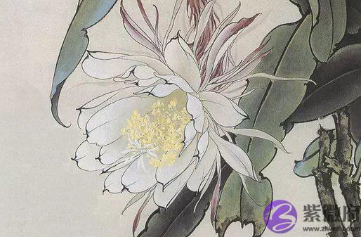 1992年出生的人是什麽命，桃花旺盛，运势极佳