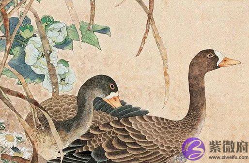  1994年出生的人是什麽命，善解人意，命里有福