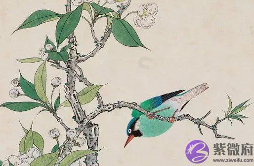 1973年出生的人是什麽命，沉着稳重，领导力强