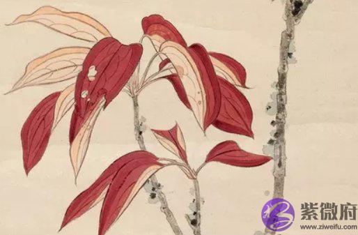  1969年出生的人是什麽命，精明能干，事业有成
