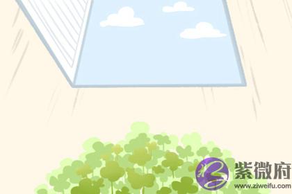 八字旺衰什麽意思