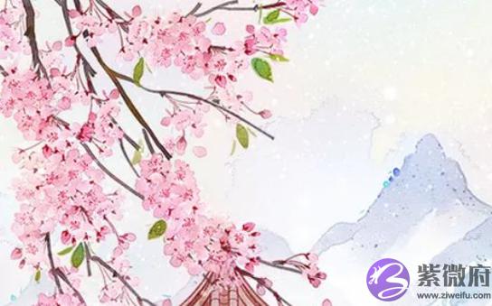 2020年农历十一月出生的鼠宝宝是什麽命,天财星入库,人中龙凤