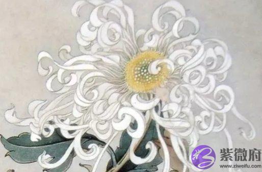 1958年出生的人是什麽命,万事亨通,桃花旺盛