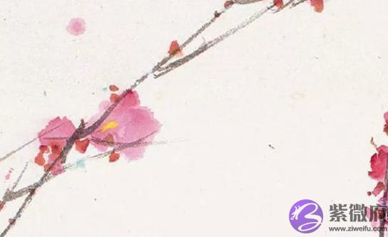 2020年12月25号十一月十一出生的孩子生辰八字和性格命运解析
