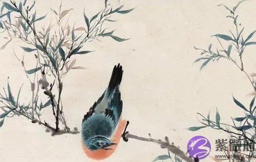 丙辰年生沙中土命好吗，一生运势如何