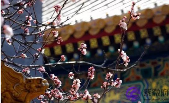 2020年12月20号十一月初六出生的孩子生辰八字和性格命运解析