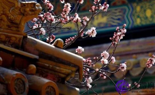 2020年12月20号十一月初六出生的孩子生辰八字和性格命运解析