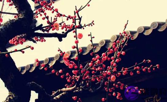 2020年12月21号十一月初七出生的孩子生辰八字和性格命运解析