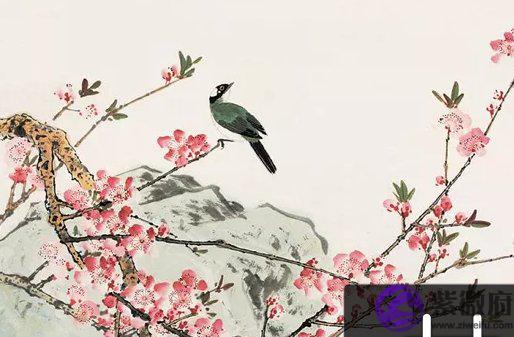 1956年出生的人是什麽命，财利可观，兴旺之命