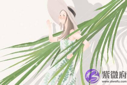 二两一钱女命详解 