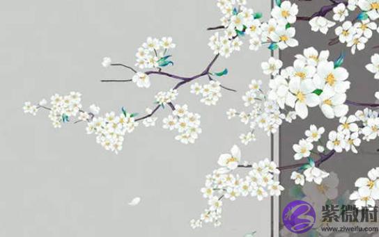 2020年农历十月出生的宝宝是什麽命，一生福禄双全，财运出众