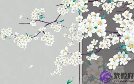 2020年农历十月出生的女宝宝好不好，一生大富大贵，福运绵长