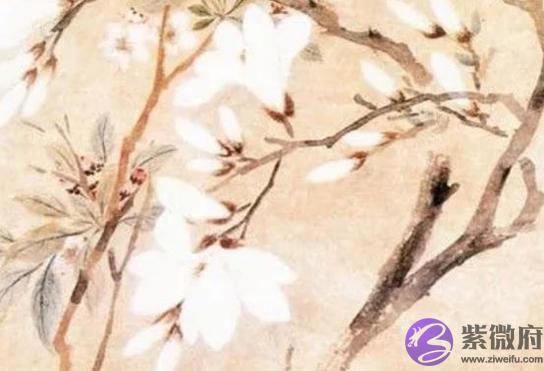 2020年农历九月出生的鼠宝宝,飞黄腾达之命,功成名就