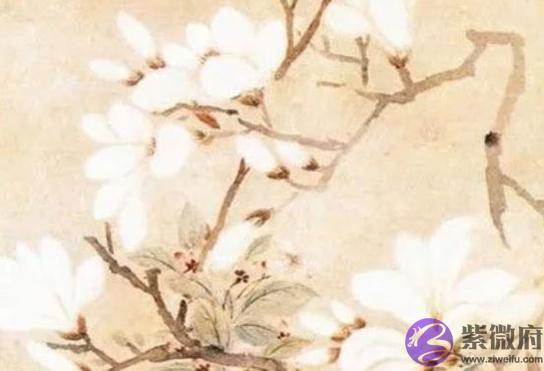 2020年农历九月出生的鼠宝宝,飞黄腾达之命,功成名就