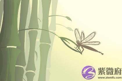 佛灯火与哪些命相克 怎麽说