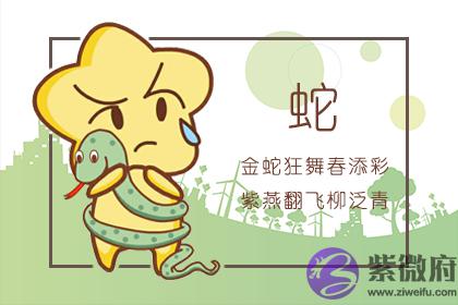 属蛇44岁过后的命运与婚姻运势好不好