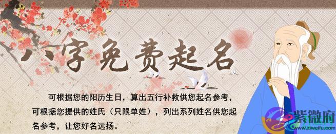 2020年生辰八字婴儿起名字_06.21