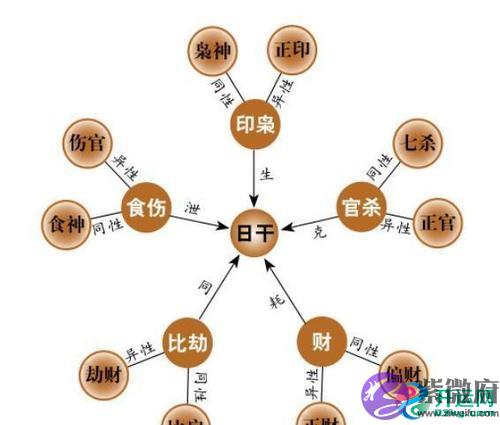 演艺为生的艺人，何种八字的人适合做明星