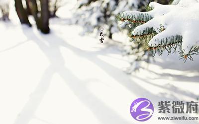 020鼠年大雪节气后一天十月二十四日适合求嗣吗？"
