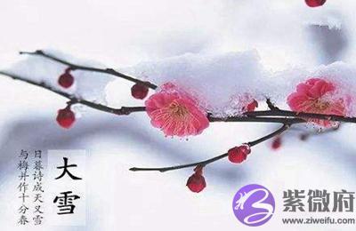 020鼠年大雪节气后一天十月二十四日适合求嗣吗？"