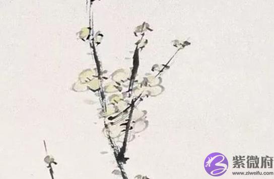 2020年农历七月出生的鼠宝宝五行缺什麽,缺火土