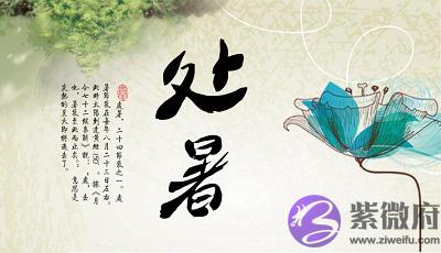 020庚子年处暑节气申时出生命好吗五行喜用神解析"