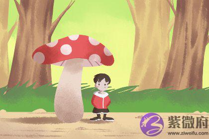 六两六钱女命 