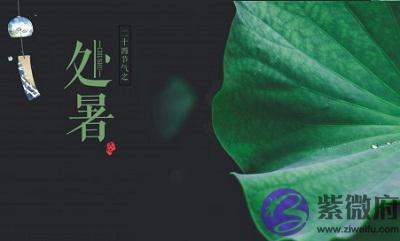 020鼠年处暑节气丑时出生宝宝五行喜用神解析"