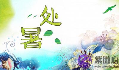 020年处暑节气未时出生宝宝喜用神是什麽命如何？"