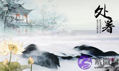 020年处暑节气未时出生宝宝喜用神是什麽命如何？"