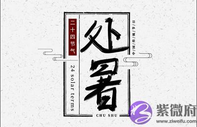 020年处暑节气寅时出生的宝宝喜用神是什麽？"
