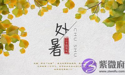 020年处暑节气子时生人五行缺什麽，是什麽命？"