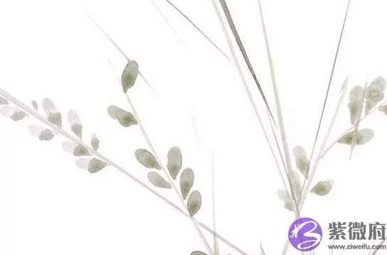2020年9月30号八月十四出生的孩子生辰生辰和性格命运解析