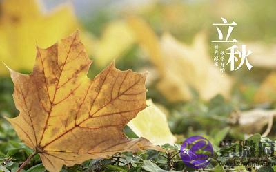 020年立秋节气子时喜用神解析命运如何？"