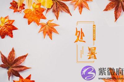 处暑热不热？属蛇的处暑节气出生命好吗？